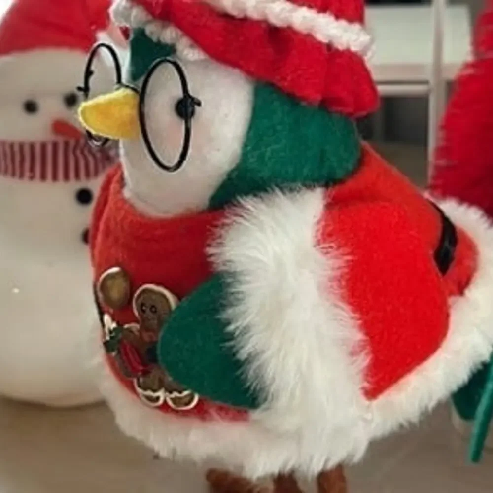 1 Custom Target Wondershop Mrs. Claus Bird and Santa bird